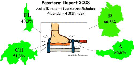 Passreform Report 2008